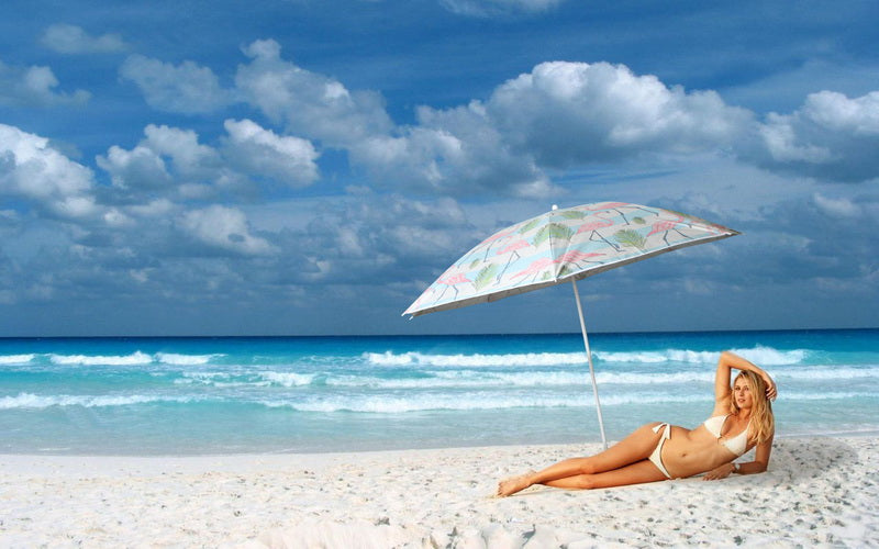 Beach Umbrella 180cm Vintage Flamingo Design