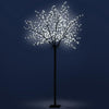 Jingle Jollys 2.5M LED Christmas Tree Blossom Twig 600 Fibre Optic Cold White Xmas Decorations Bonus Bag