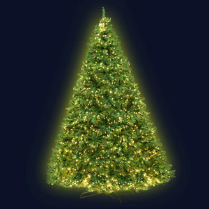 Jingle Jollys 2.4M 8FT Christmas Tree 1488 LED Lights 1488 Tips Warm White Green