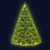 Jingle Jollys 2.4M 8FT Christmas Tree 1488 LED Lights 1488 Tips Warm White Green