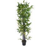 UV Stabilized Artificial Japanese Bamboo On A Black Trunk 1.8m