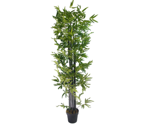 UV Stabilized Artificial Japanese Bamboo On A Black Trunk 1.8m
