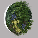 UV Lavender Fields Green Wall Disc (White) 100cm