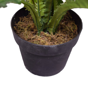 Artificial Birds Nest Fern 55cm