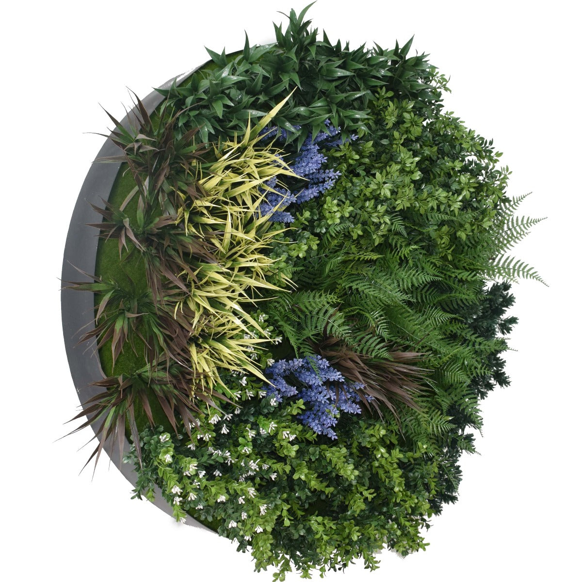 UV Lavender Fields Green Wall Disc (Black) 100cm 