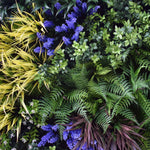 UV Lavender Fields Green Wall Disc (Black) 100cm 