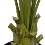 Artificial Kentia Palm Tree 150cm