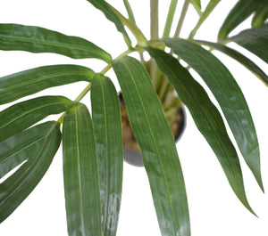 Artificial Kentia Palm Tree 150cm