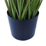 Spear Grass Plant 180cm