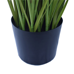 Spear Grass Plant 180cm