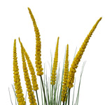 Spear Grass Plant 180cm
