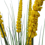 Spear Grass Plant 180cm