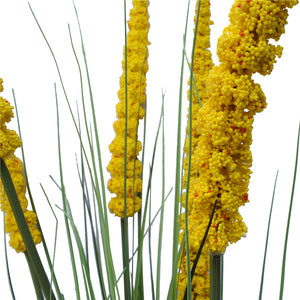 Spear Grass Plant 180cm
