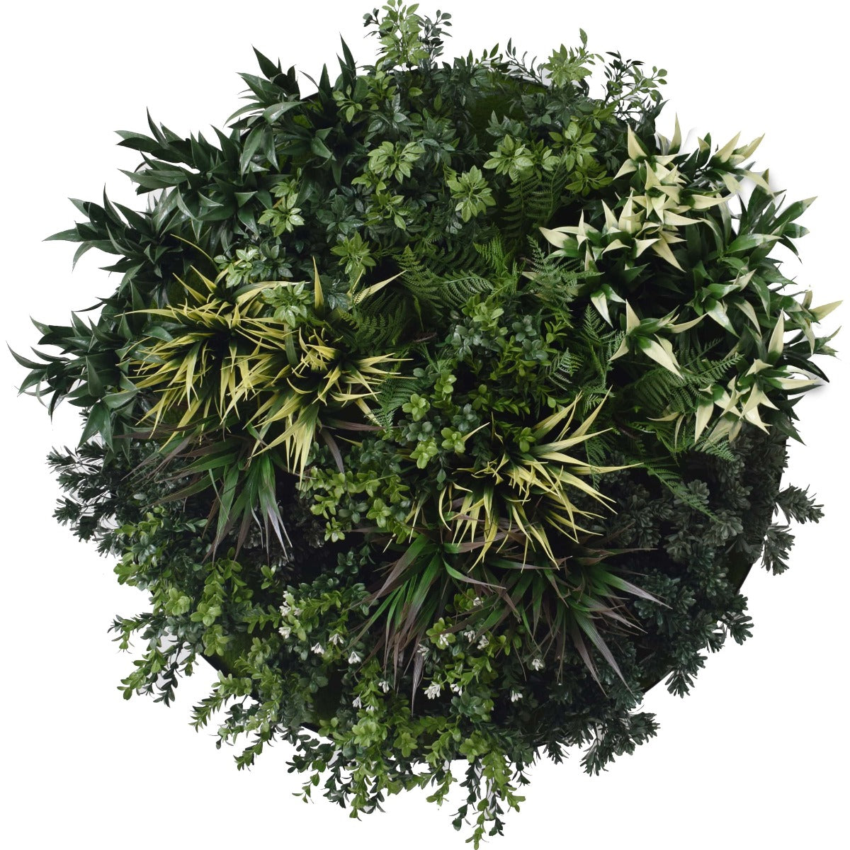 UV Green Fields 80cm Green Wall Disc (Black)