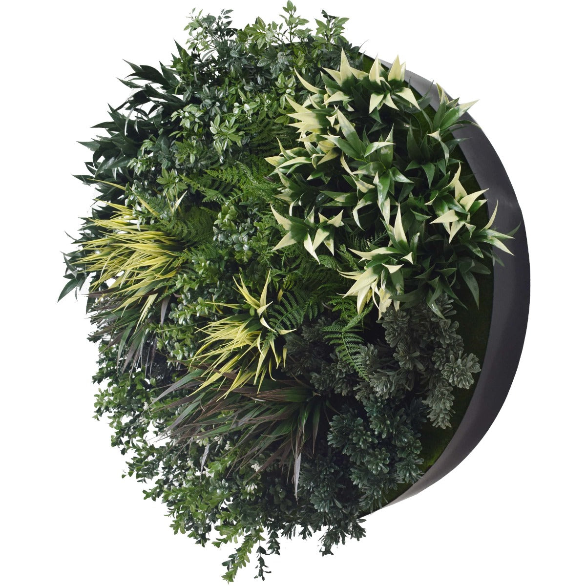 UV Green Fields 80cm Green Wall Disc (Black)