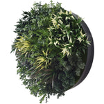 UV Green Fields 80cm Green Wall Disc (Black)