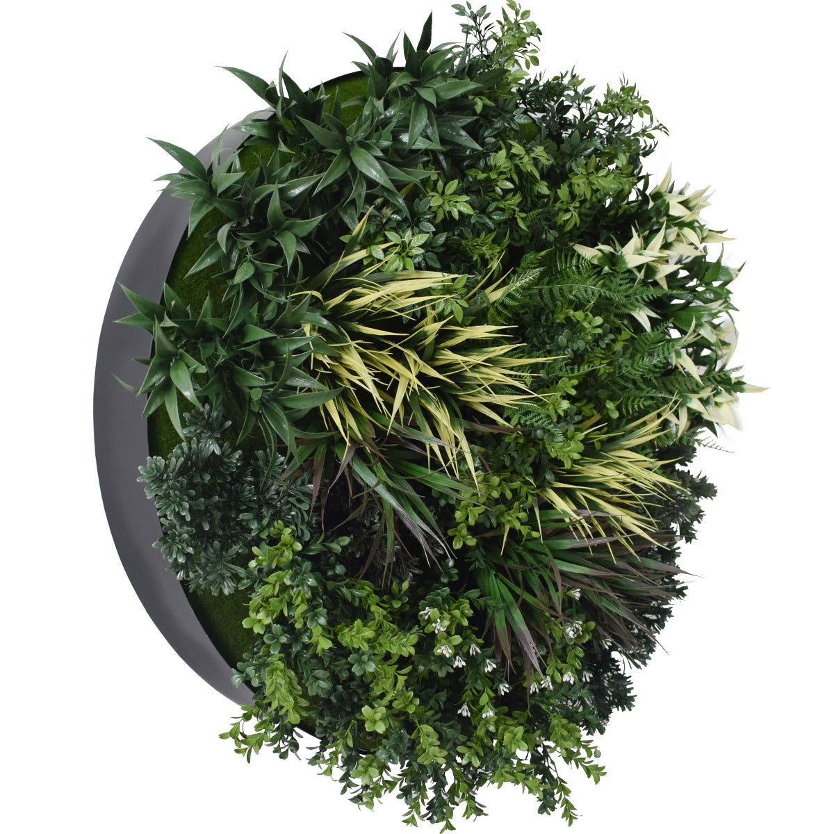 UV Green Fields 80cm Green Wall Disc (Black)