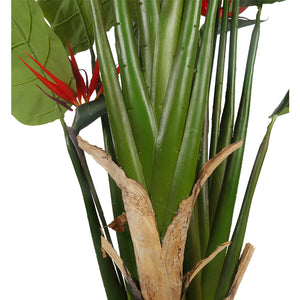 Birds of Paradise Plant 130 cm
