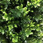 UV Resistant Artificial Topiary Shrub (Hedyotis) 60cm