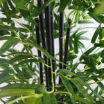 UV Stabilized Artificial Japanese Bamboo On A Black Trunk 1.8m