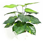 Lily Stem 32cm