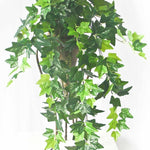 Hanging Green Ivy Bush 80cm