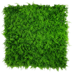 Mediterranean Fern Vertical Garden UV Stabilised 1m X 1m