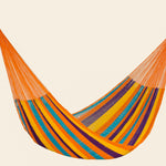 King Size Nylon Plus Hammock in Alegra
