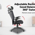 Ergonomic Mesh Office Chair
