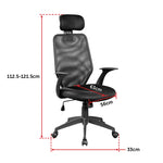 Ergonomic Mesh Office Chair